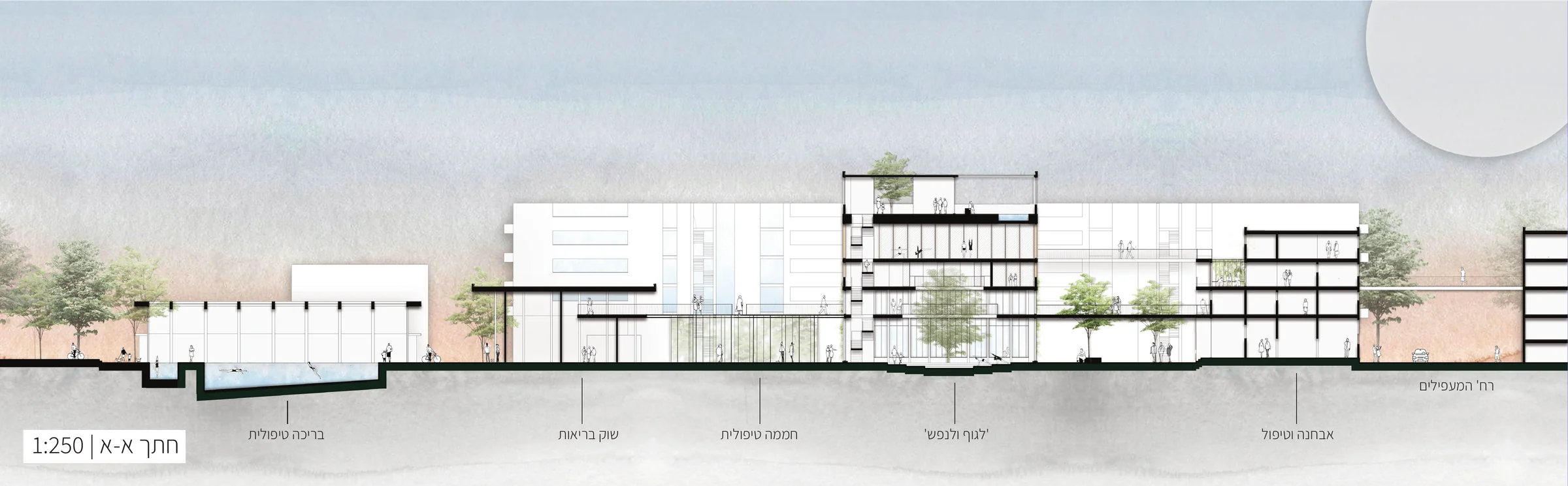 חתך אורך של המתחם, קנה מידה 1:250